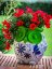 MagicHome dekoracija, Sova s ​​teglom za cvijeće, plavi ornament, keramika, 26,5x24x27,5 cm