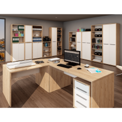 Schrank, Eiche Artisan/Weiß, RIOMA TYP 10