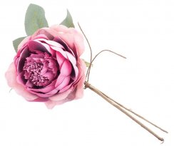 Kvet MagicHome, ruža rozvitá, tmavoružová, stonka, veľkosť kvetu: 11 cm, dĺžka kvetu: 22 cm, bal. 6 ks