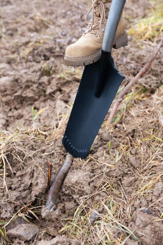 Strend Pro Premium RedShark Spaten, schmal, Drainage, mit Fiberglasstiel D 1280 mm