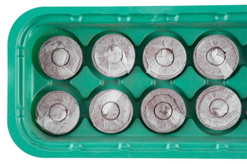 Mini kuhalo na pari Strend Pro, Herrison MG-027, sa 10 tableta kokosa, 26x12,5x4 cm