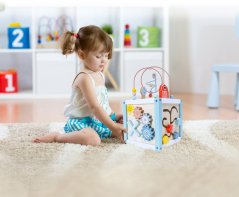 Drevený triedič kociek a bloky ECOTOYS