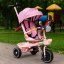 Rowerek trójkołowy dla dzieci spacerówka obracane siedzisko pchacz różowy ECOTOYS (akce)