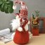 Weihnachtself mit Flaschentasche Ruhhy 22508 (akce)