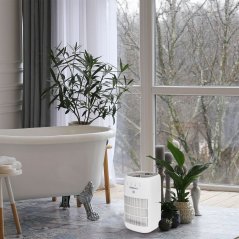 Dezumidificator Webber DEQ10