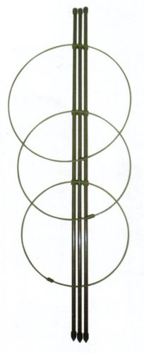 Halter FH-375, 075 cm, Stützständer für Blumen