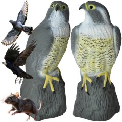 Ptak strach na wróble - sokół 23421