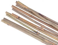 Pręt ogrodowy KBT 1200/12-14 mm, op. 10 szt., bambus, rośliny podporowe