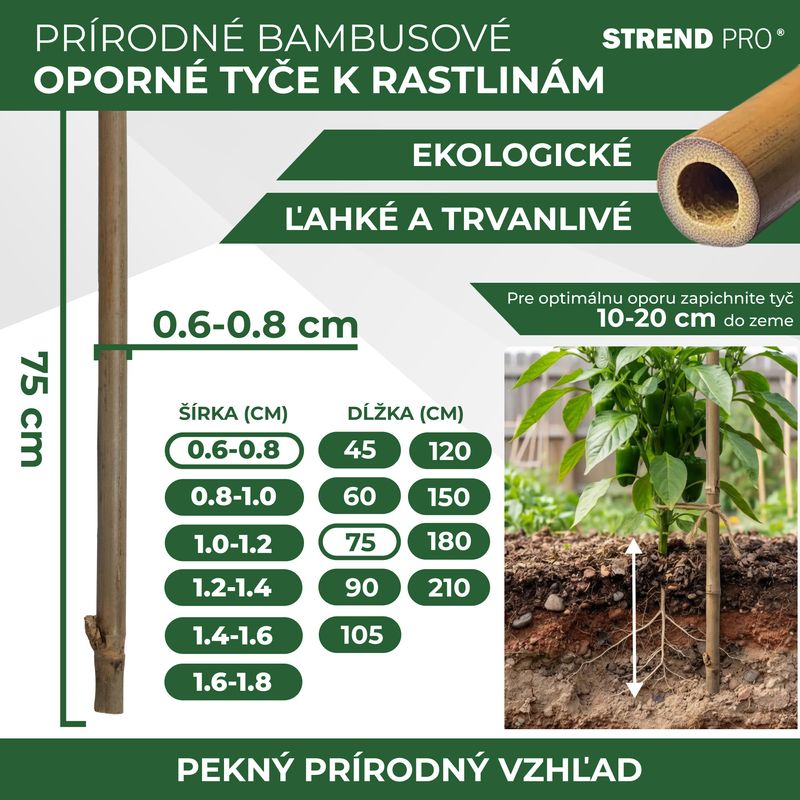 Tyč Garden KBT 750/6-8 mm, bal. 10 ks, bambus, oporná k rastlinám