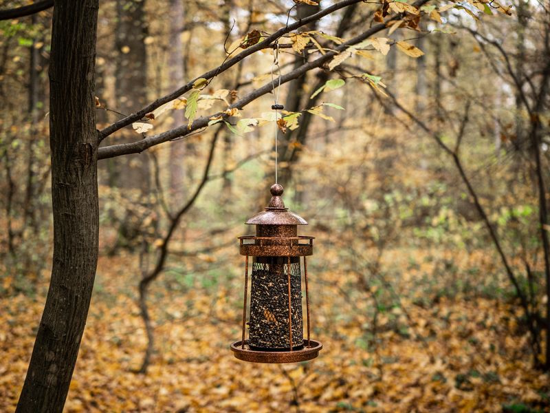 Futterspender Strend Pro, für Vögel, 32x17cm, 950 ml, Kunststoff, Metallgitter