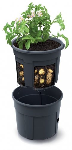 Ghiveci POTATO Grower 392x316 mm, pentru cultivarea cartofilor, antracit