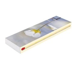 Vžigalice Camino MAXI Special 20 cm, 45 kom, kamin, dol