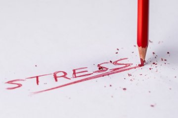 Bylinkami proti stresu