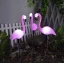 Solarna lampa ogrodowa - flaming Gardlov 21151 (akce)