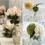 Kule nawadniające - 10 000 szt. Gardlov 24750 (akce)