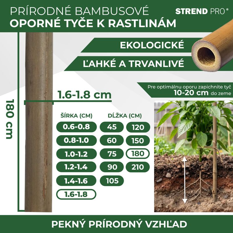 Tyč Garden KBT 1800/16-18 mm, bal. 10 ks, bambus, oporná k rastlinám