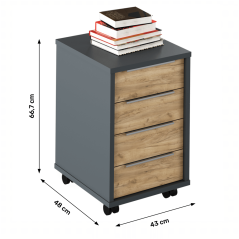 Posoda, grafit/umetniški hrast, RIOMA NEW TYPE 14