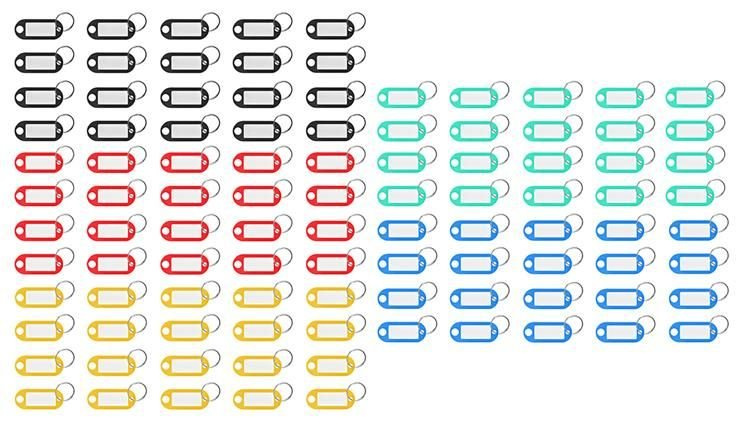 Schlüsselanhänger-/Identifikationsschlüssel-Set 100-tlg.