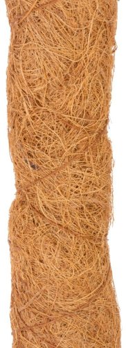 Baton GreenGarden COCO, 4,5x180 cm, kokos, rośliny podporowe