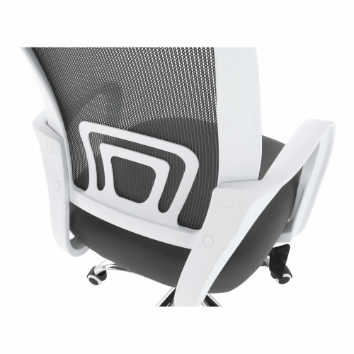 Irodai szék, szürke/fehér, SANAZ TYP 1