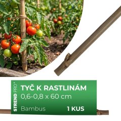 Tyč Garden KBT 600/6-8 mm, bal. 10 ks, bambus, oporná k rastlinám