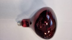 Žarulja za grijanje 250W tamno crvena GAUN