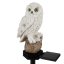 Solarna lampa ogrodowa - sowa Gardlov 23847 (akce)