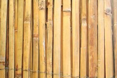 Ograja Bamboo BSF 2000 mm, L-5 m, cepljiva (akce)