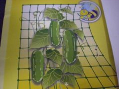 Siatka wspierająca wzrost 1000x1,2m/15-1208