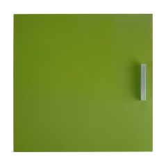 Tür, grün, TOFI NEU