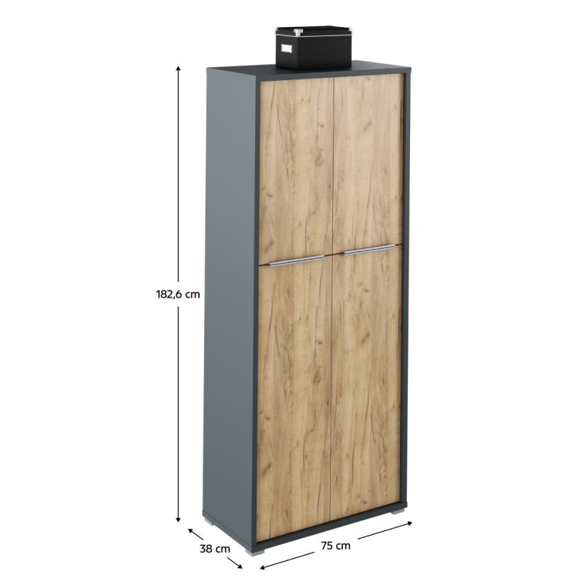 Regalschrank, Artisan Graphit/Eiche, RIOMA NEW TYPE 07