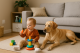 🏡 Wie man ein sicheres Zuhause für Kinder (oder Haustiere) schafft
