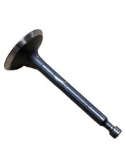 Auslassventil für Rotator Strend Pro QK60 3Q4096