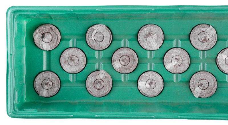 Mini štednjak Strend Pro Herrison MG-028, sa 20 kokos peleta, 55x16x7 cm