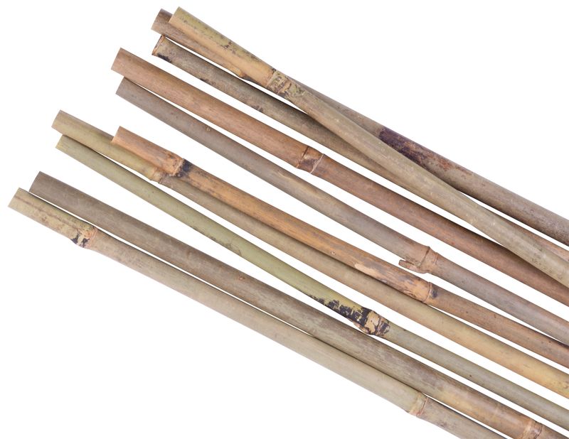 Rutengarten KBT 2100/12-14 mm, Pack. 10 Stück, Bambus, Stützpflanzen (akce)