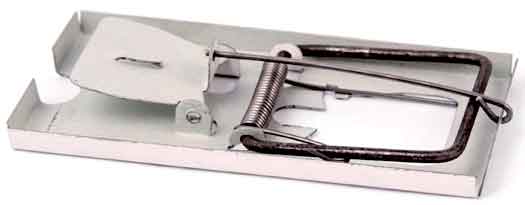 Metallmausefalle, 105 x 60 mm, XL-TOOLS