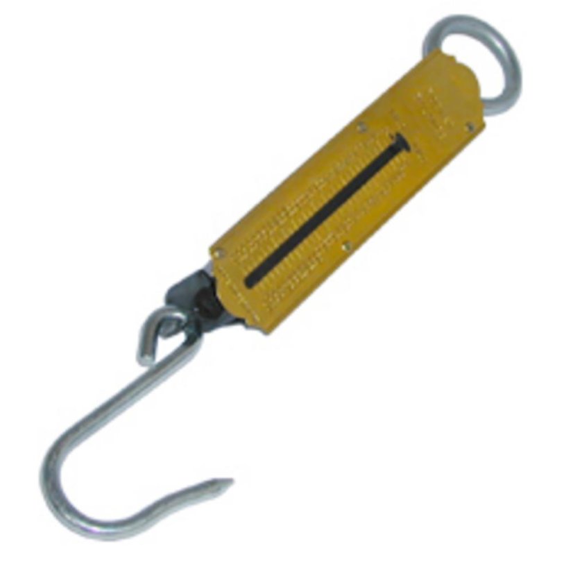 Viseća vaga - MINCIER 100 kg
