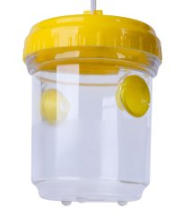 Falle Strend Pro Wabee, 9x13 cm, Falle für Hornissen und Wespen