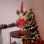 MagicHome Weihnachtsfigur, Rentierhirschkuh mit Schal, Stoff, rot, 18x16x55 cm