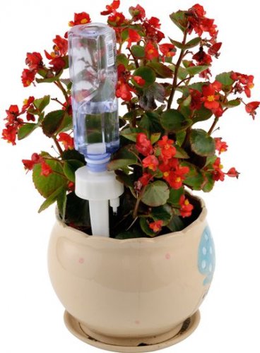 Strend Pro Herrison WD7066 Blumentopfstift, Bewässerung, für PET-Flasche, Packung. 2 Stk