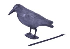 Vogelscheuche Rabe schwarz, 38 cm
