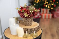 Ikebana MagicHome Weihnachten, natur, rot, 17x17 cm