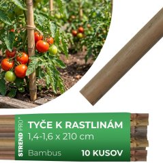 Rutengarten KBT 2100/14-16 mm, Pack. 10 Stück, Bambus, Stützpflanzen
