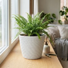 SPLOFY Blumentopf 295/249 mm, 11,5 Liter, weiß