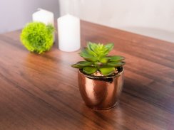 Succulent MagicHome S34040, 12 cm, pot-ciment, auriu