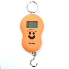 Viseča tehtnica - MINCIER 50 kg digitalna KLC