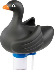 Teplomer Strend Pro, plávajúci, Čierna labuť, bazénový