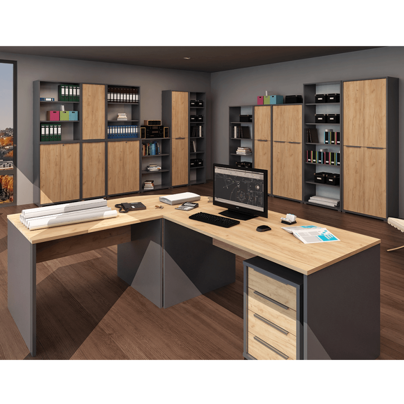 Regalschrank, Artisan Graphit/Eiche, RIOMA NEW TYPE 07