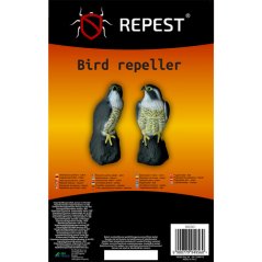 Ptak strach na wróble - sokół 23421