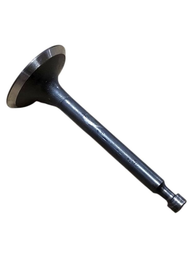 Auslassventil für Rotator Strend Pro QK60 3Q4096